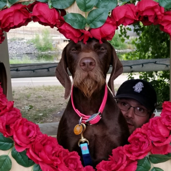 Meet your Posher, Crystal - Picture 6 of 15